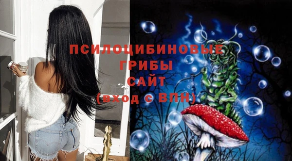 эйфоретик Бронницы