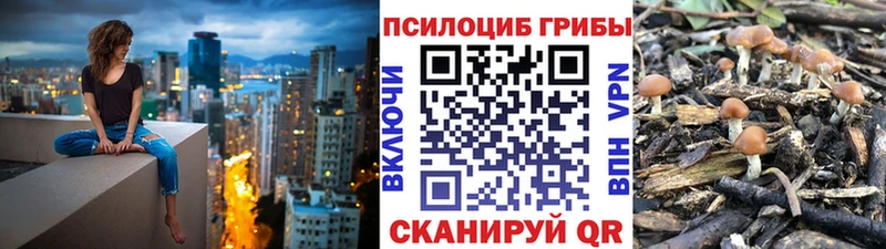 ОМГ ОМГ ссылка  Нытва  Галлюциногенные грибы прущие грибы 
